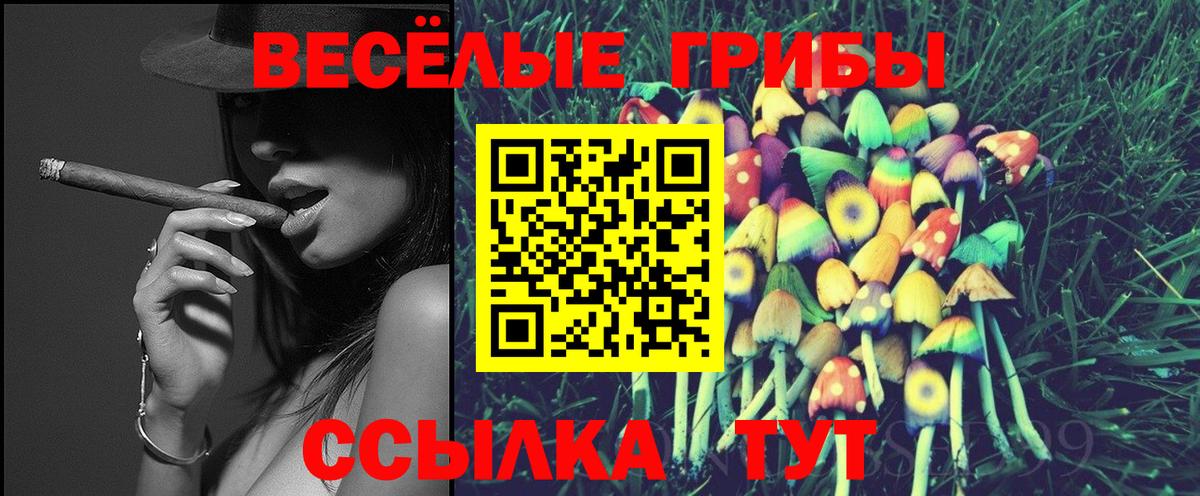 Псилоцибиновые грибы GOLDEN TEACHER Лабинск