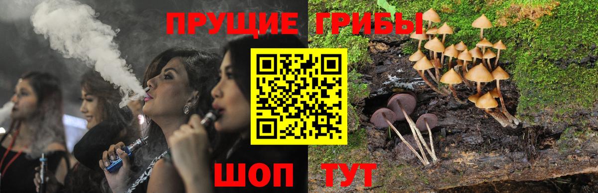 Псилоцибиновые грибы Psilocybine cubensis  Галлюциногенные грибы прущие грибы  купить   Лабинск  Вход с VPN 